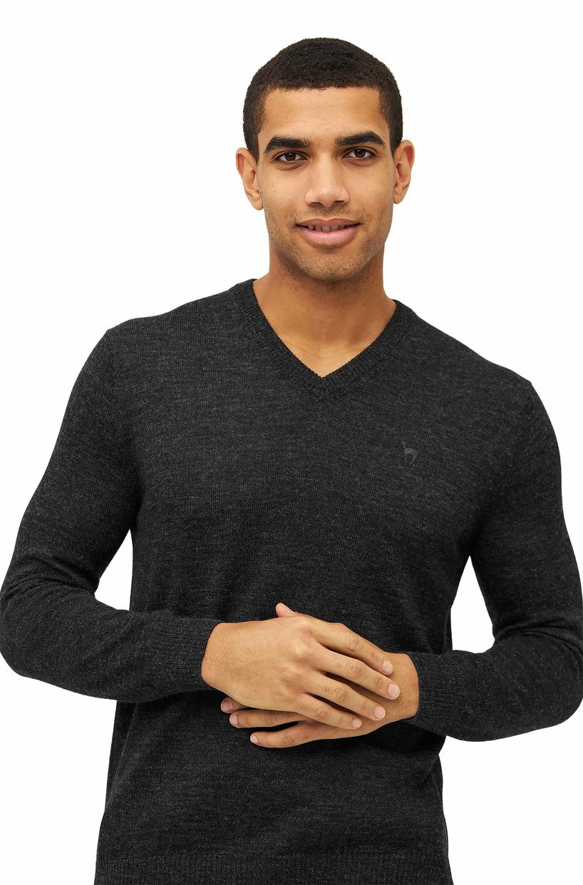 01259_4_anthrazit_Basic_V-Neck_Herren_Alpaca_Pullove_v2_S7_818x1242